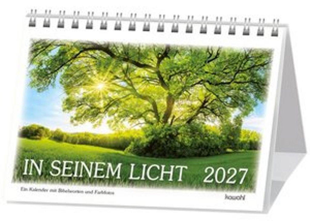 Sous sa lumière, 2027 Image du produit 