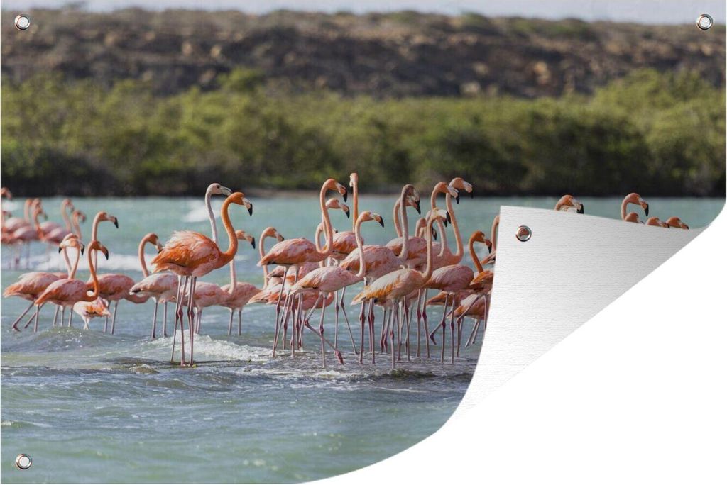 MuchoWow 60x40 cm Outdoor-Poster Gartendeko Sichtschutz Garten Poster für den Garten Eine große Gruppe von roten Flamingos steht im Wasser