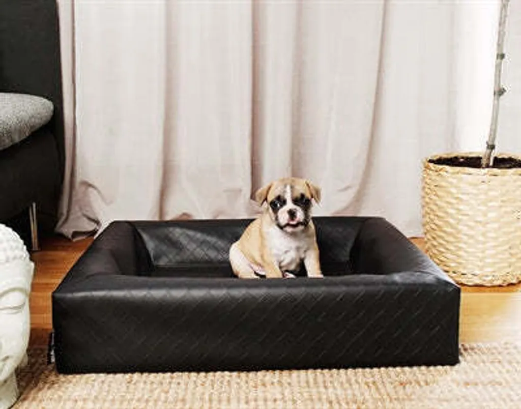 Panier pour Chien Carré Noir Bia Bed Original - Couchage Orthopédique - 3