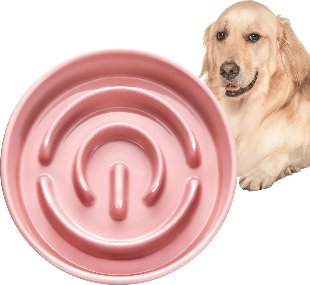 Bol labyrinthe chien en céramique rouge saumon 1000 ml haute qualité