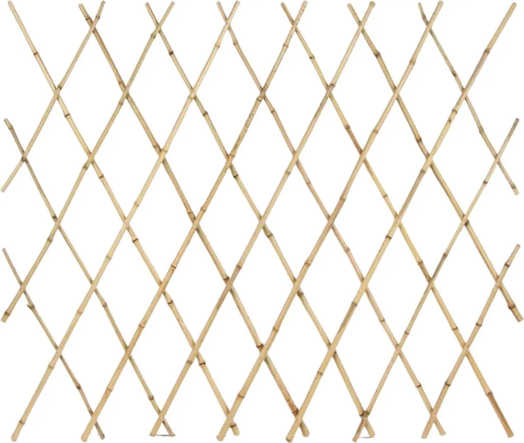 BURI Lot de 10 Treillis de Jardin en Bambou Naturel Pliable 40x180 cm