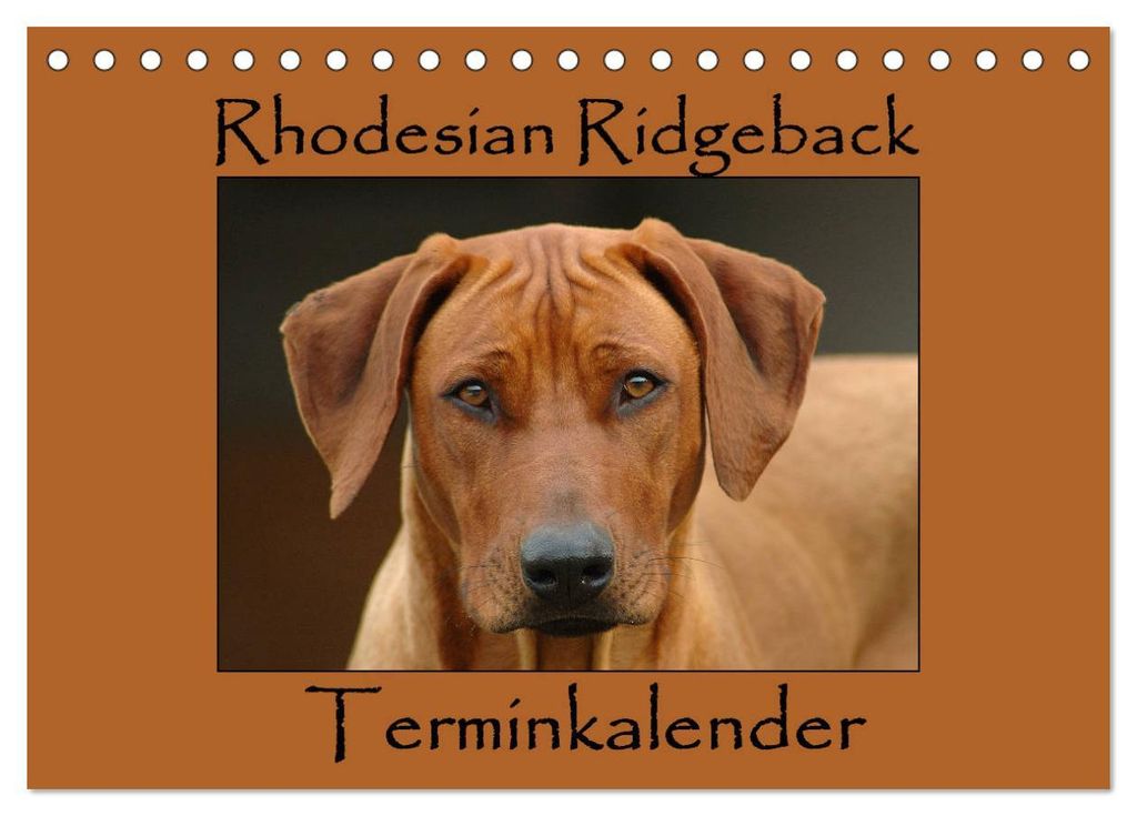 Rhodesian Ridgeback Terminkalender (Tischkalender 2027 DIN A5 quer), CALVENDO Monatskalender