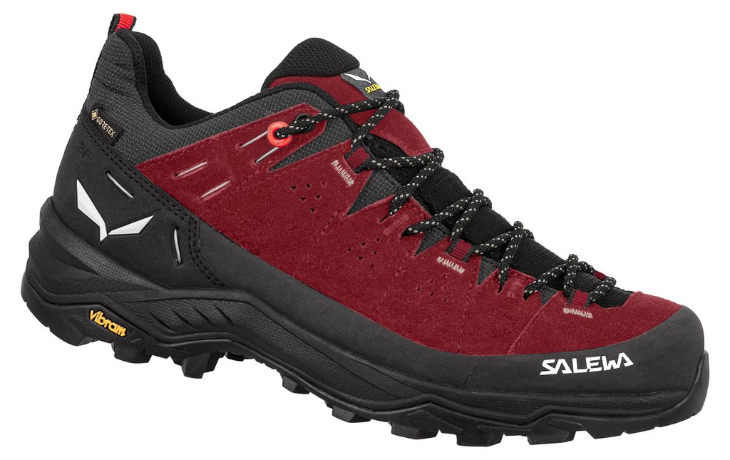 Schuhe Salewa Alp Trainer 2 Gtx 614011575 Produktbild 