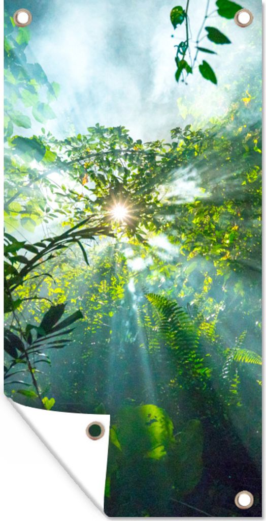 MuchoWow 40x80 cm Outdoor-Poster Gartendeko Sichtschutz Garten Poster für den Garten Sonnenlicht scheint auf eine Höhle im Regenwald von Malaysia