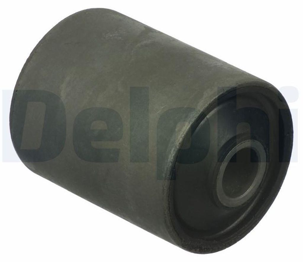 DELPHI TD1211W Lager, Blattfeder x