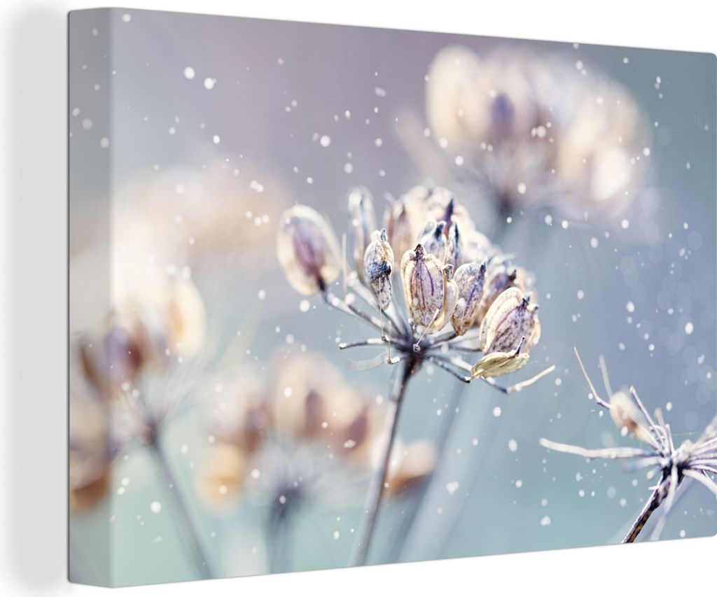 OneMillionCanvasses - Leinwandbilder - 150x100 cm, Blumen - Schnee - Eis - Winter - Botanisch, Wandbilder Kunstdruck Wanddekoration