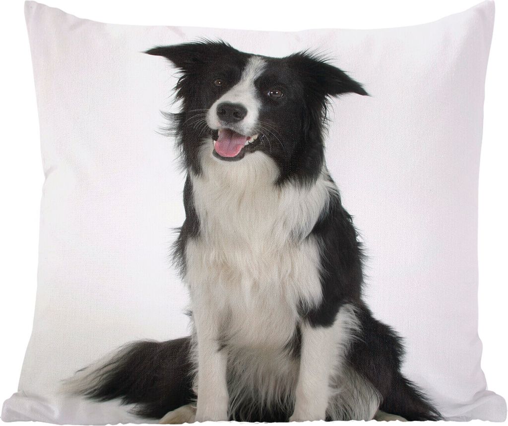 MuchoWow Zierkissen Sofakissen Wohnzimmer Dekokissen 50x50 cm Porträt eines wohlerzogenen Border Collie im Sitzen - Komfort - Sofakissen