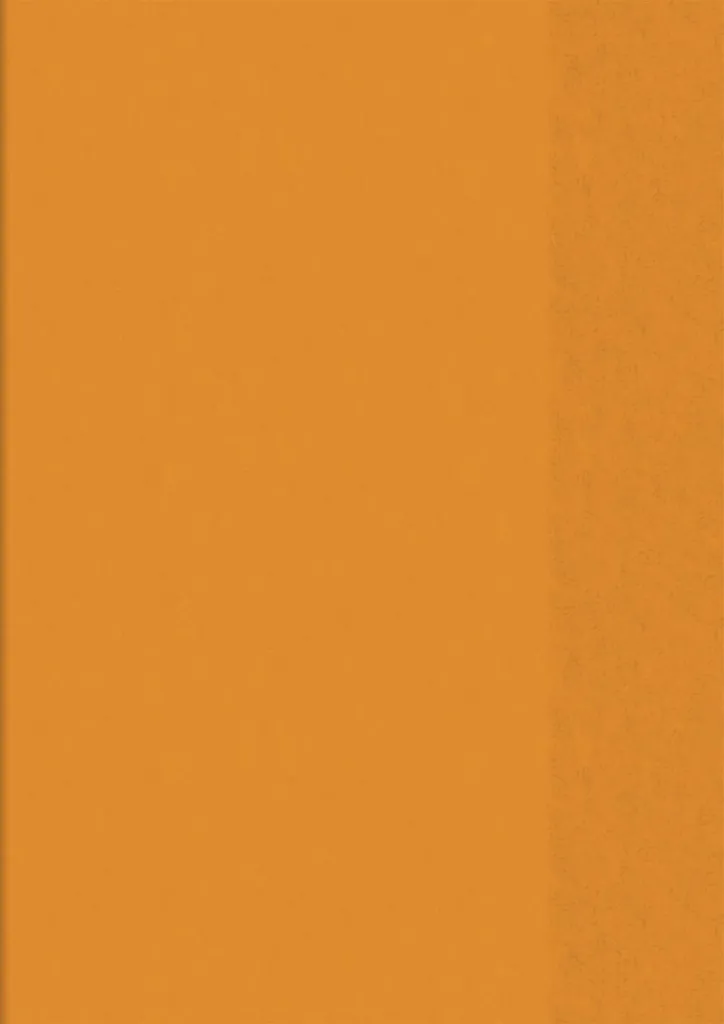 Couverture de cahier A4 orange BRUNNEN en plastique souple et lavable