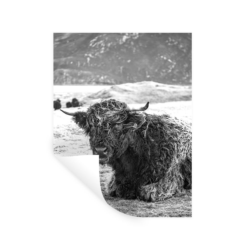 MuchoWow Wandtattoo Wandsticker Wandaufkleber Schottischer Highlander - Berg - Tiere 30x40 cm Selbstklebend und Repositionierbar - Sticker - Deko...