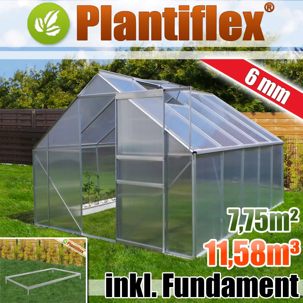 Grande Serre à Tomates 7,75m² en Verre Polycarbonate 6mm et Aluminium