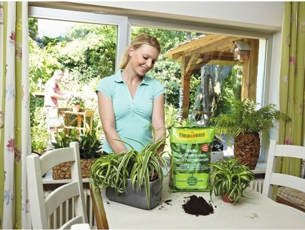 Floragard® Aktiv - Grünpflanzen- und Palmenerde 20 Liter Produktbild 4