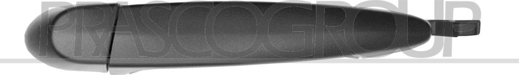 PRASCO BM1218104 Türgriff Hinten Links für BMW 1 Schrägheck (E87)