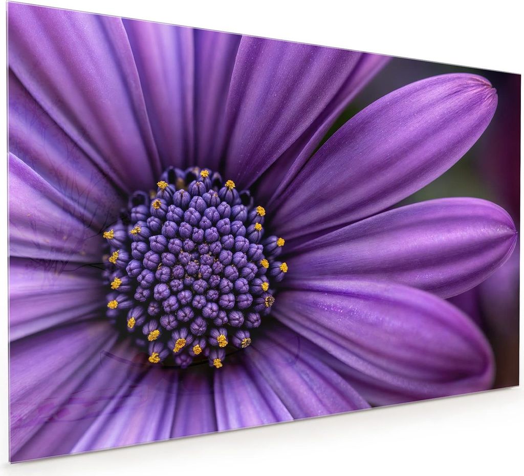 Küchenrückwand Spritzschutz Glas mit Motiv Blume Nahaufnahme 40 x 40 cm
