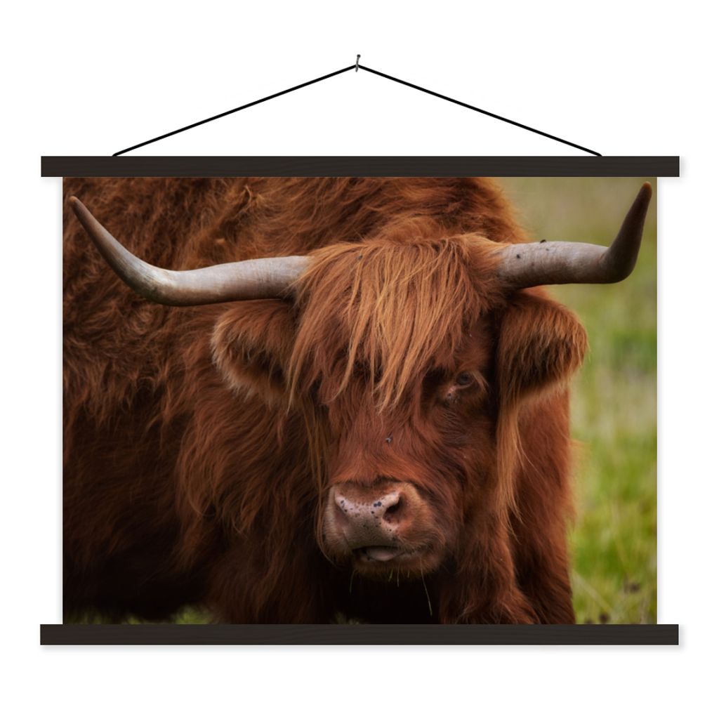 MuchoWow Textilposter Schottischer Highlander - Orange - Tiere 60x45 cm mit schwarzem Rahmen - Poster Schlafzimmer