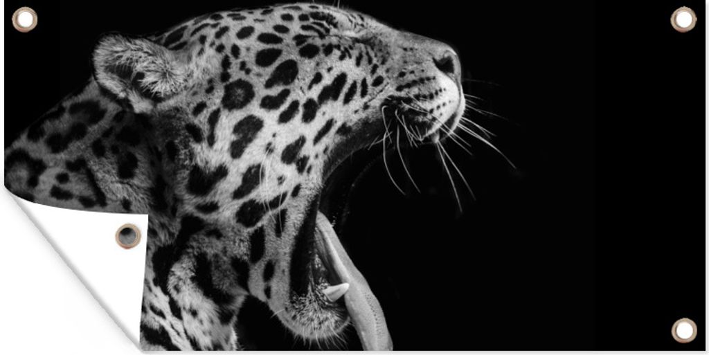 MuchoWow 80x40 cm Outdoor-Poster Gartendeko Sichtschutz Garten Poster für den Garten Jaguar - Tier - Schwarz - Weiß