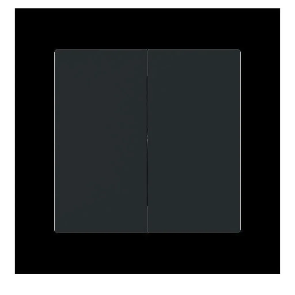 Bascule double Busch-Jaeger 1785-45M noir mat interrupteur 2CKA001751A3388