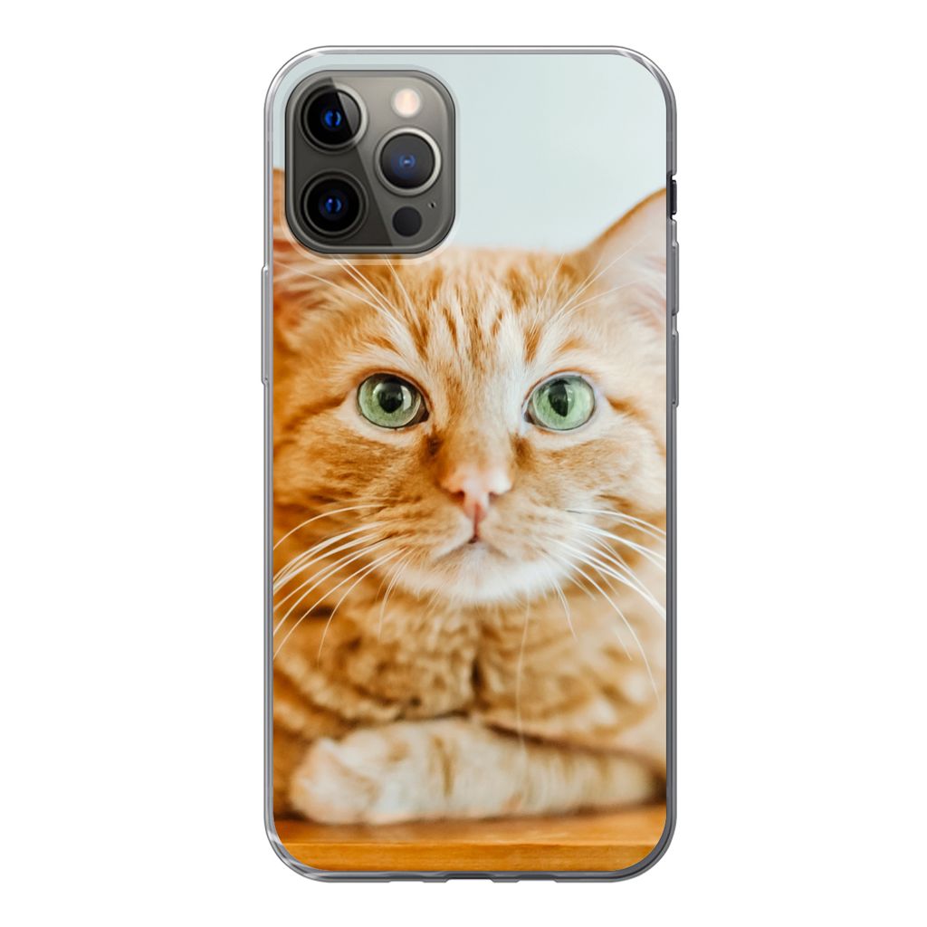MuchoWow Handyhülle Schutzhülle Hülle für iPhone 12 Pro Katze - Holz - Schrank Silikon Softcase Handy Hülle - Abdeckung