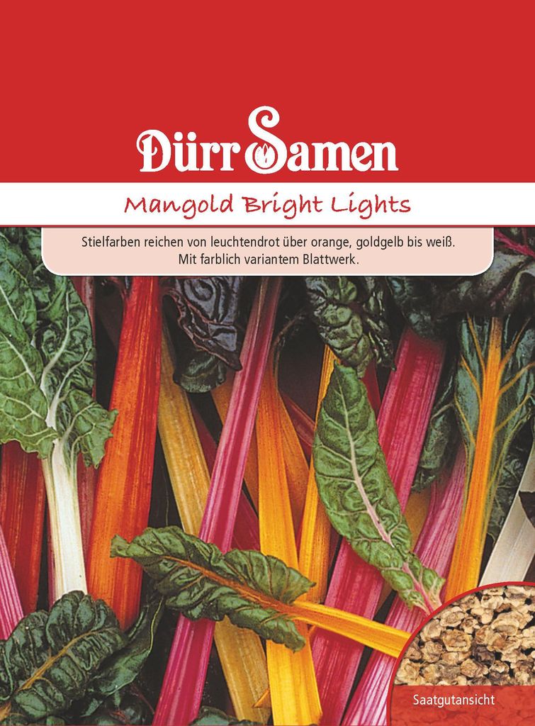 Mangold Bright Lights | Mangoldsamen von Dürr Samen Produktbild 