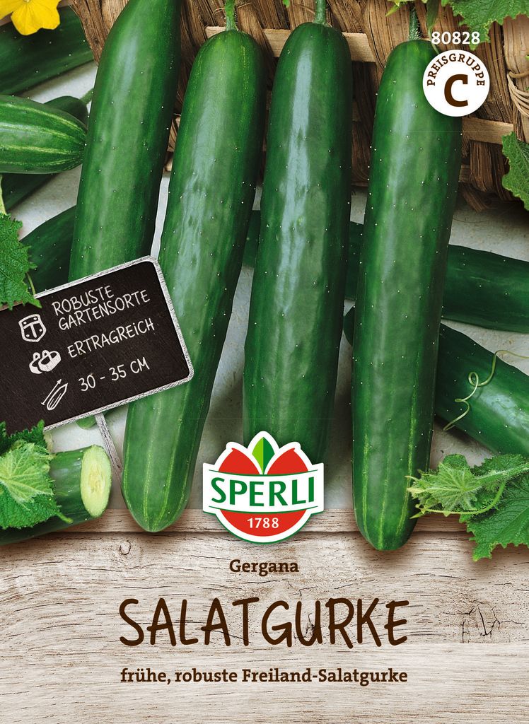 Sperli Salatgurken Gergana - Gemüsesamen Produktbild 