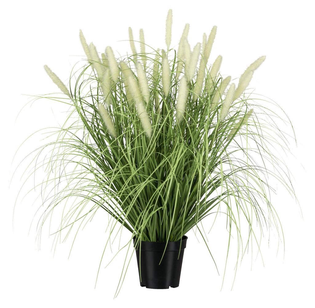 CREATIV green künstliches Ziergras 65cm im Topf, naturgetreues künstliches Pennisetum-Gras