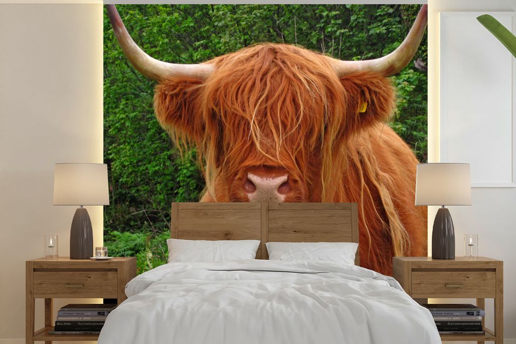 MuchoWow Fototapete für Wohnzimmer oder Schlafzimmer Wandtapete Vinyl Motivtapete Schottischer Highlander - Kuh - Gras - 350x350 cm - Schlafzimm...