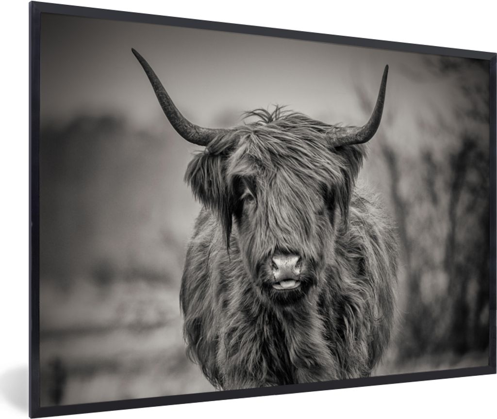 MuchoWow Gerahmtes Poster Schottischer Highlander - Schwarz und Weiß 90x60 cm - Poster mit Schwarzem Bilderrahmen Wandposter Rahmen Foto Bilder ...