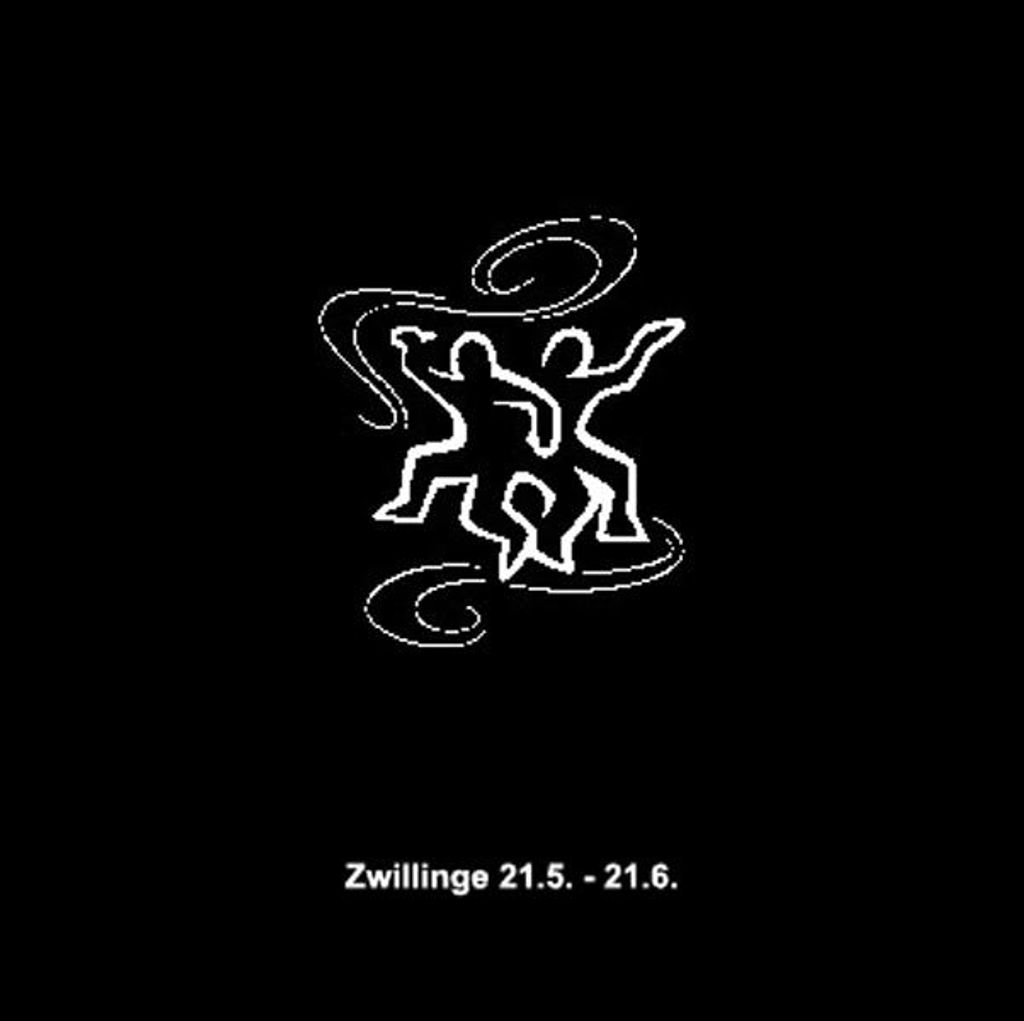 Horoskop Dekokissen Sternzeichen Zwillinge bestickt 30x30 cm