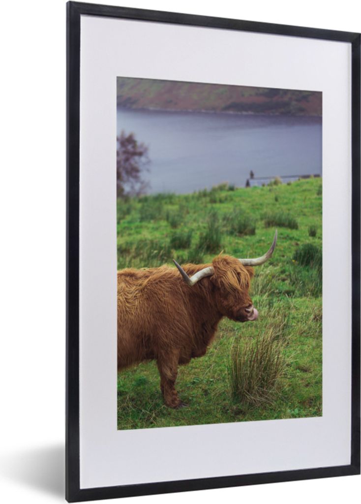MuchoWow Gerahmtes Poster Schottische Highlander - Gras - Wasser - Tiere 40x60 cm - Poster mit Schwarzem Bilderrahmen Wandposter Rahmen Foto Bild...