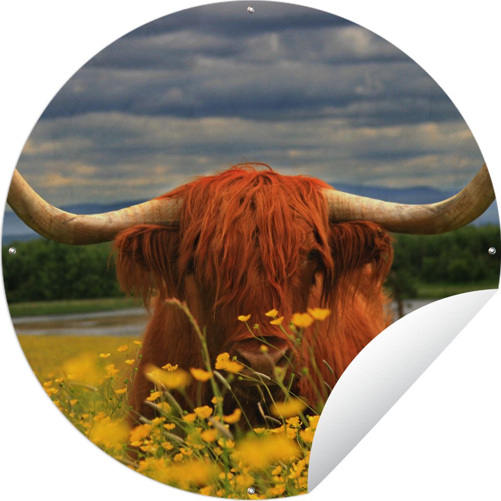 MuchoWow Gartenposter Outdoor-Poster Rund Schottischer Highlander - Tiere - Blumen Ø 120 cm Gartendeko Rundes Poster draußen