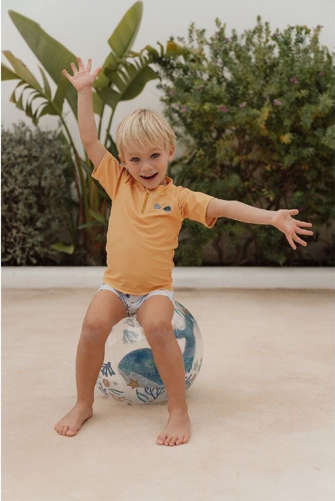 Ballon De Plage 3D Little Dutch – Baleine Transparente – 35 Cm – Dès 24 Mois