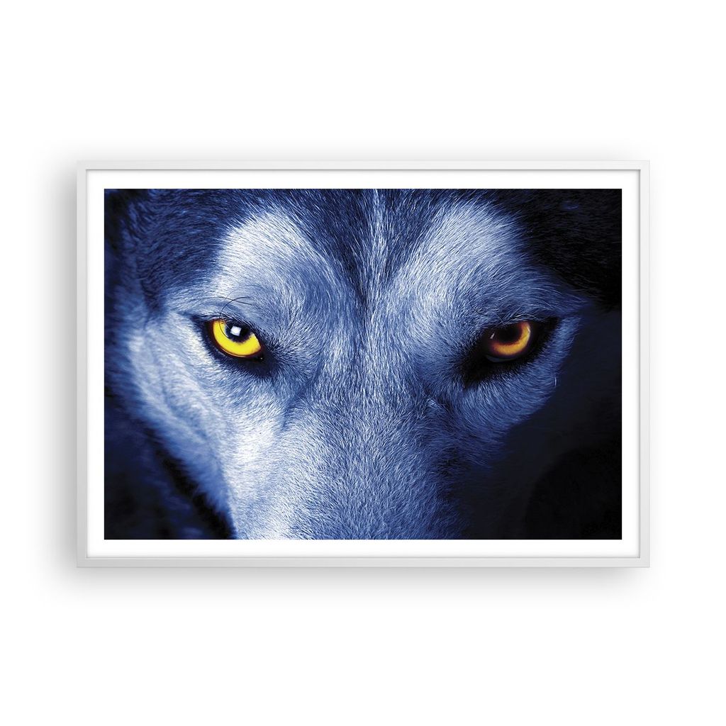Gerahmtes Poster - Weißer Rahmen - Schau der Wolf Augen - 100x70 cm - Wand Bild - Wanddeko - Wandbilder - Kunstposter - Wandposter - Bilderrahmen ...