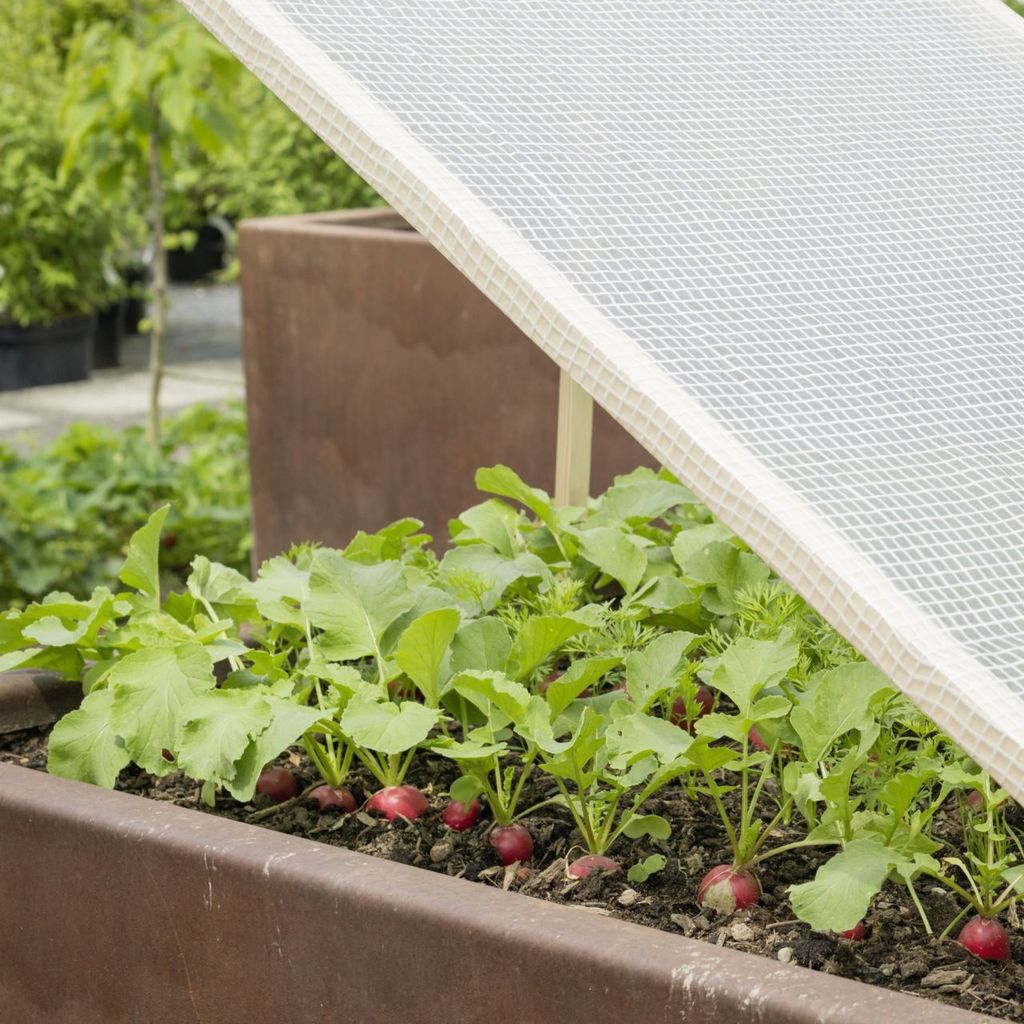 Windhager Gitterfolie, Transparent, 100 g/m², 3 x 2 m, 6745