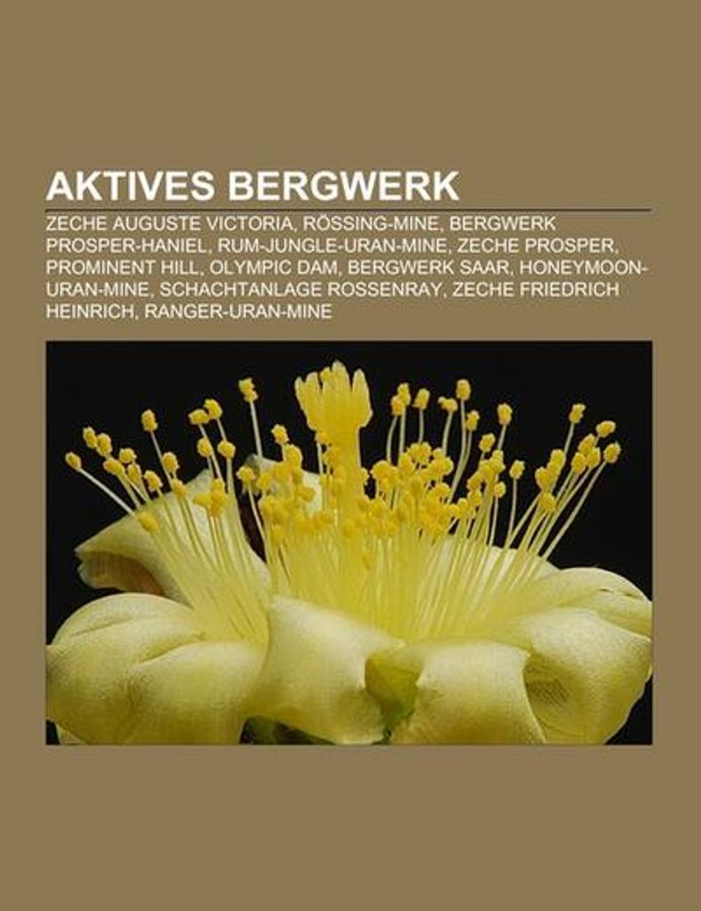 Aktives Bergwerk