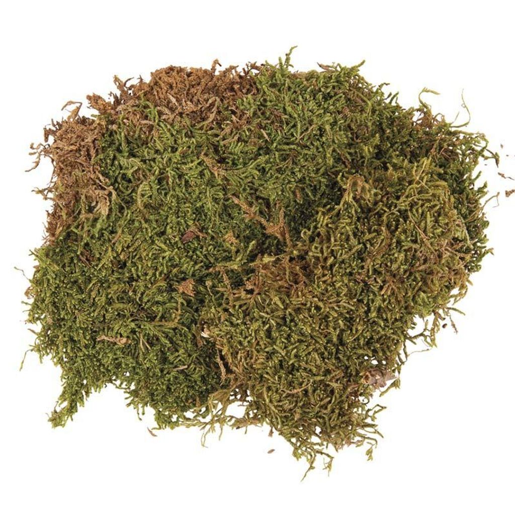 Getrocknete Schaumplatte 100 g