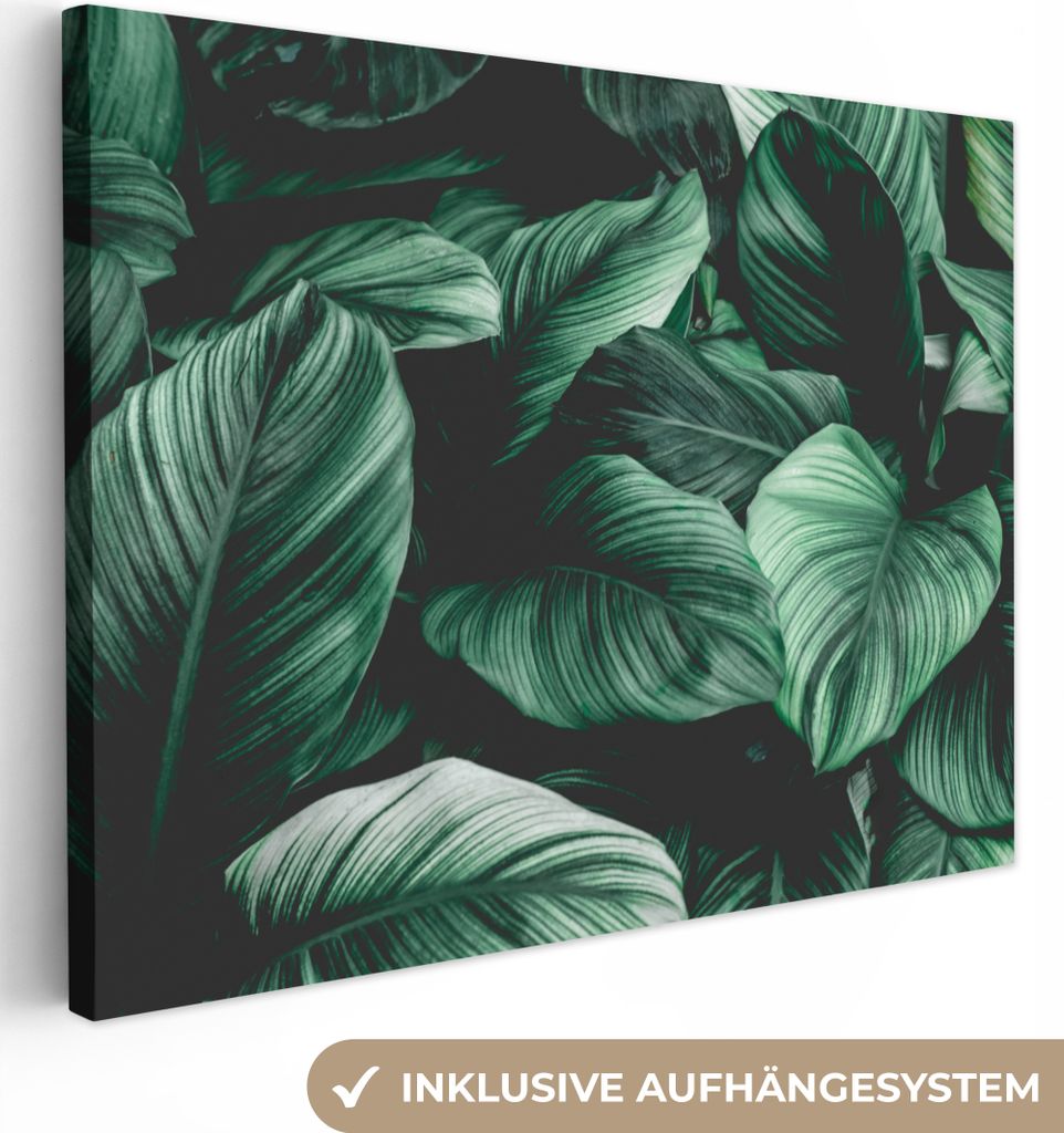 MuchoWow - Leinwandbilder - Dschungel - Blätter - Tropisch - Pflanzen - Natur, Wandbild, Wanddeko Bilder Wohnzimmer, 40x30 cm