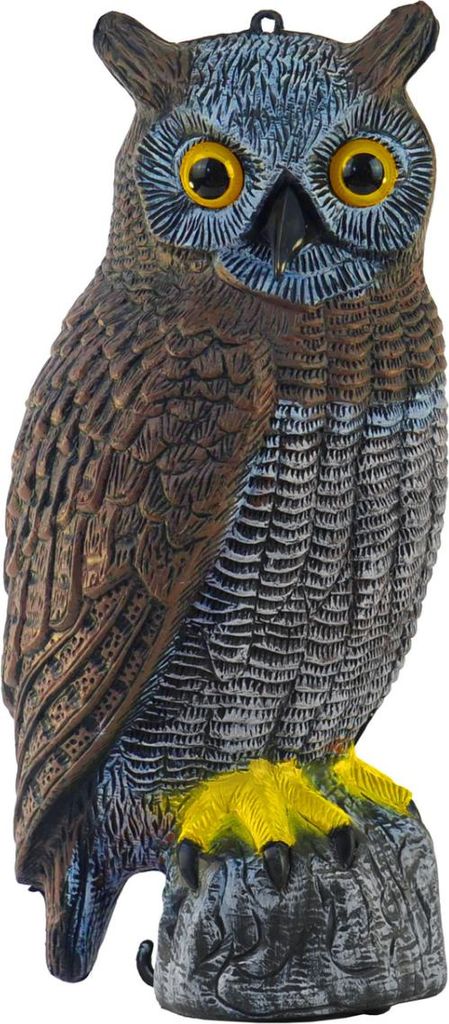 Magische Eule als Deko Prop & Requisite 40cm