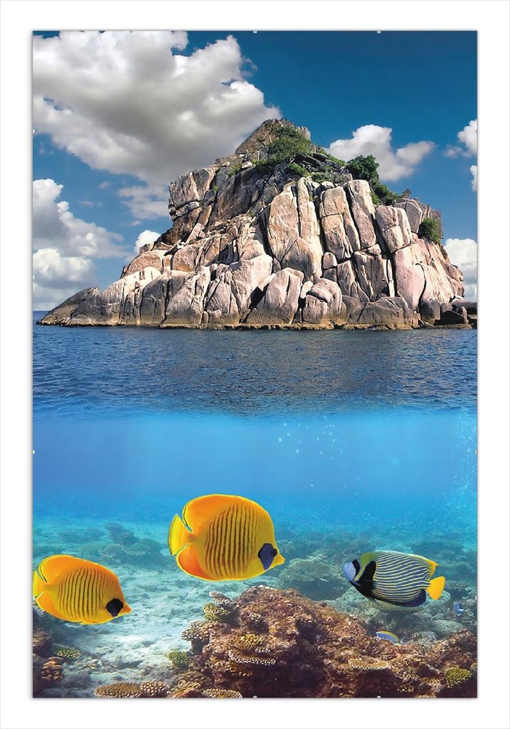 Wallario Wandbild Exotische Fische im Meer, Größe: 61 x 91,5 cm, Poster mit rahmenlosen Bildhalter