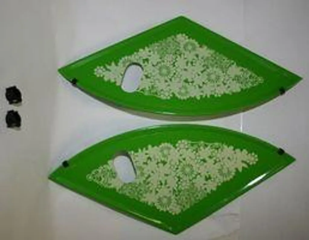 Protection de Roue Laquée Gazelle Jas Conserver 26 - Vert Dundy Green