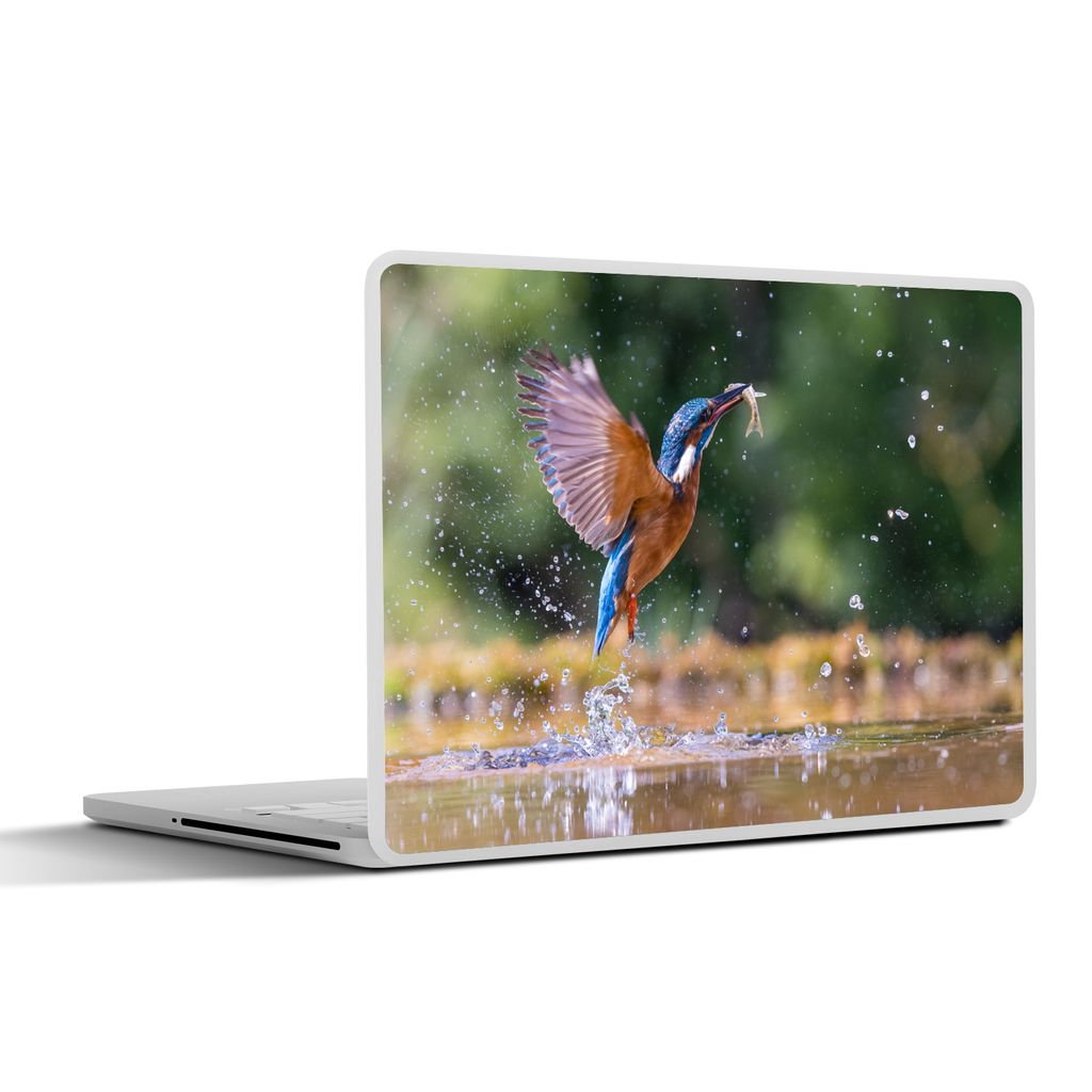 MuchoWow Laptop Aufkleber Sticker Cover Fisch - Eisvogel - Flügel 40x30 cm - Laptop Dekoration - Selbstklebend