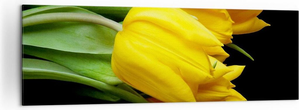 Bild auf Leinwand - Leinwandbild - Tulpen Strauß Spiegelreflexion grün - 160x50cm - Wand Bild - Wanddeko - Leinwanddruck - Bilder - Kunstdruck - ...