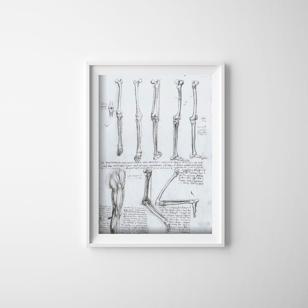 Poster - Canvas - Leinwand - 42 cm x 59,4 cm - Da Vinci Beinknochen
