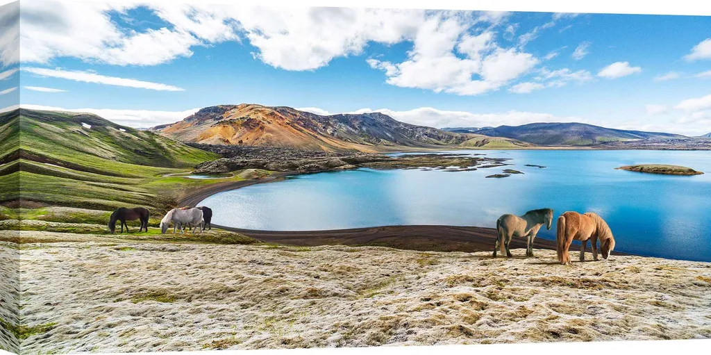 Tableau Chevaux Sauvages Islande sur Toile, Format XL 120x60 cm