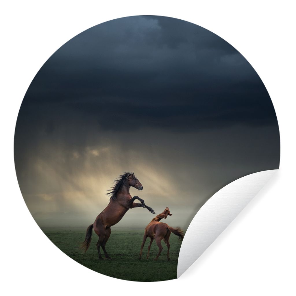 MuchoWow Runde Wandtattoo - Wandsticker Tapete Aufkleber Pferde - Braun - Wolken Ø 100 cm Selbstklebend und Repositionierbar - Wandaufkleber - K...