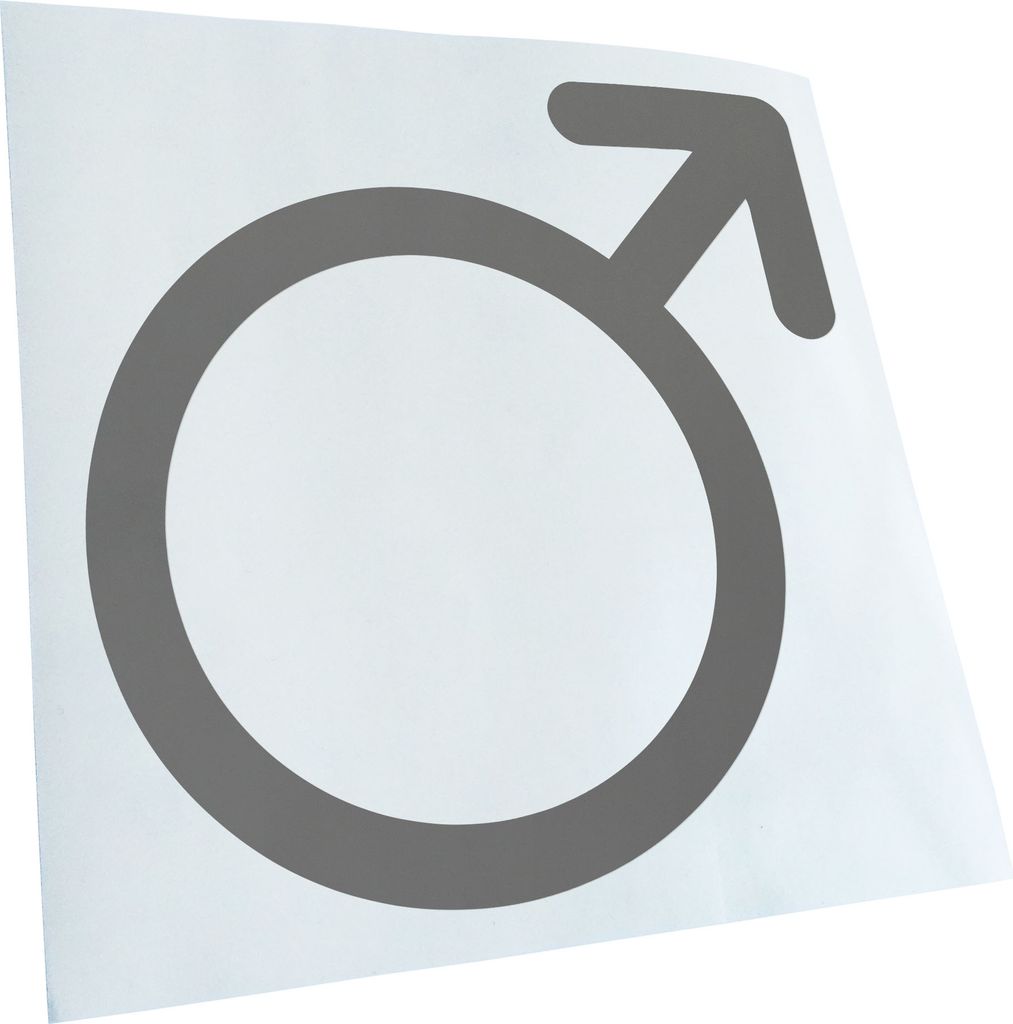 Kiwistar - Autoaufkleber - Männliches Geschlecht - Grau - 40x40cm - Aufkleber für Auto, Laptop, Fahrrad, LKW, Motorrad Mehrfarbig JDM Decal Racing