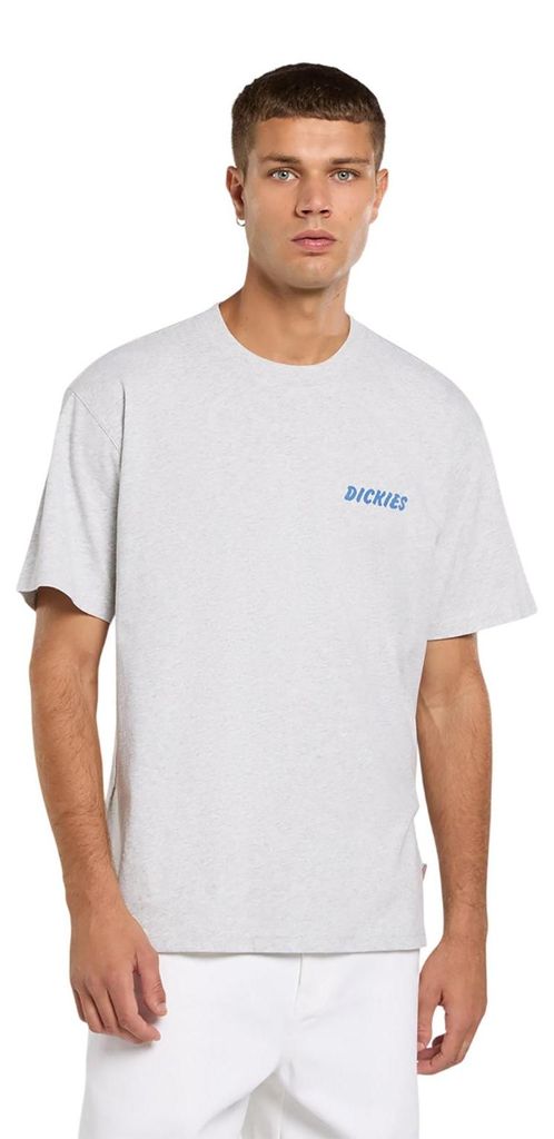 Dickies Herren T-Shirt Dry Ridge grey L