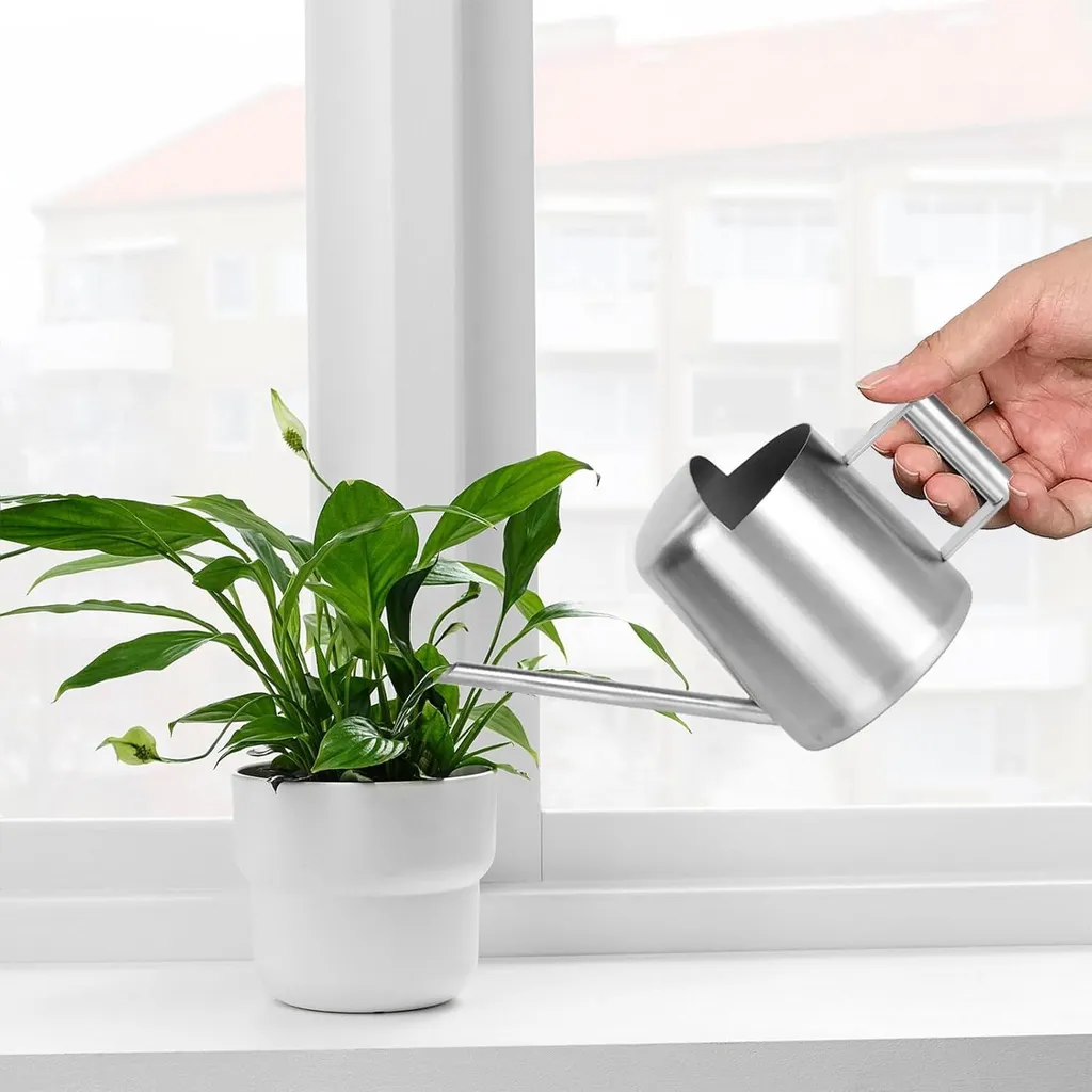 Allecto Plus : Mini arrosoir 300 ml en acier inoxydable pour intérieur
