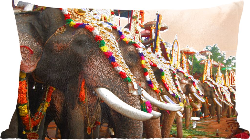 MuchoWow Zierkissen Sofakissen Wohnzimmer Dekokissen 50x30 cm Elefant - Parade - Tiere - Wohnzimmerdekoration - Polster mit Photo