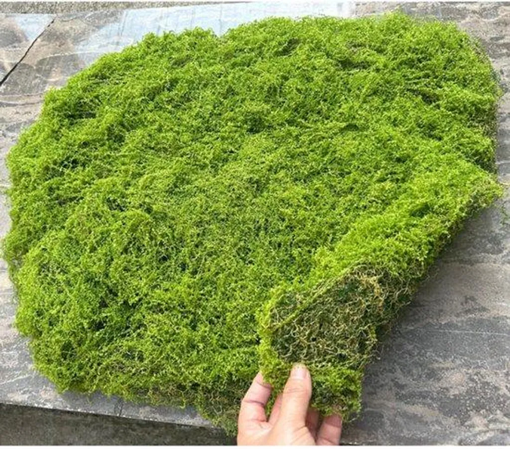 Paillasson d'intérieur en mousse vert clair 40x60 cm - Tapis déco multi-usage