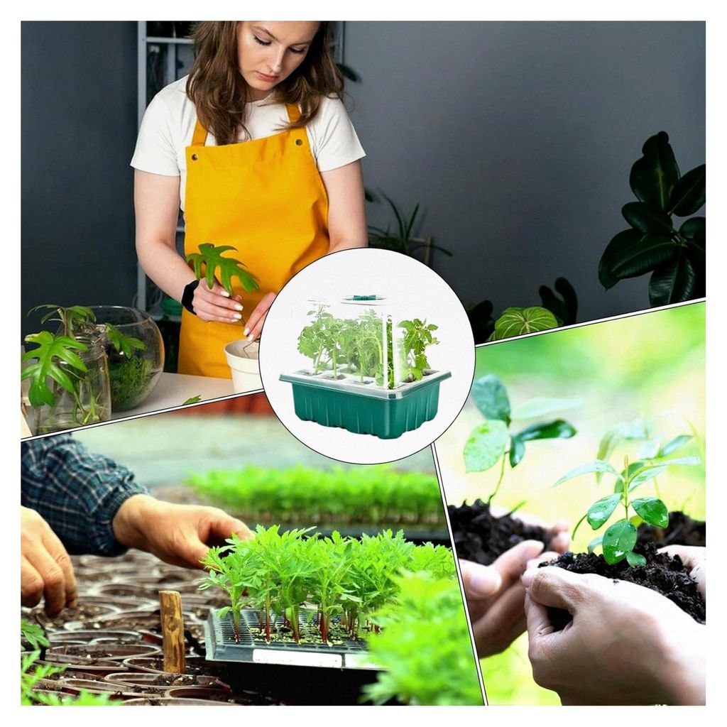 Anzuchtschalen für Pflanzen - Belüftete Feuchtigkeitshauben und Grundplatten, Gewächshauszubehör für die Pflanzenvermehrung im Innenbereich
