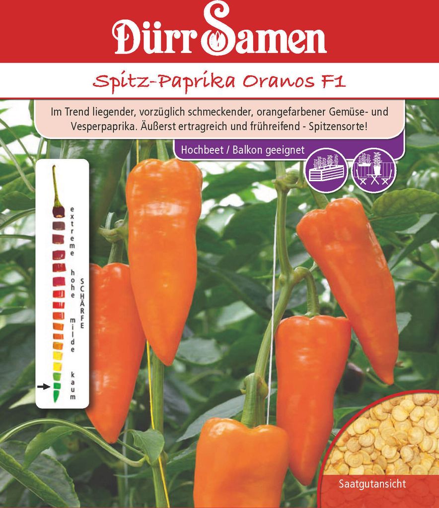 Spitzpaprika Oranos F1 | Spitzpaprikasamen von Dürr Samen Produktbild 